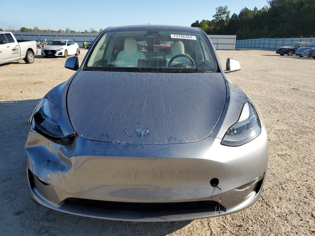 2024 TESLA MODEL Y  VIN:7SAYGDEFXRA307516