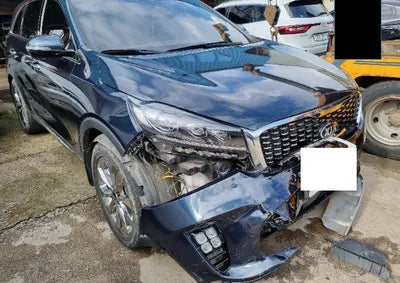 2019 Kia Sorento KNAPH81BBKA522715 VIN:KNAPH81BBKA522715