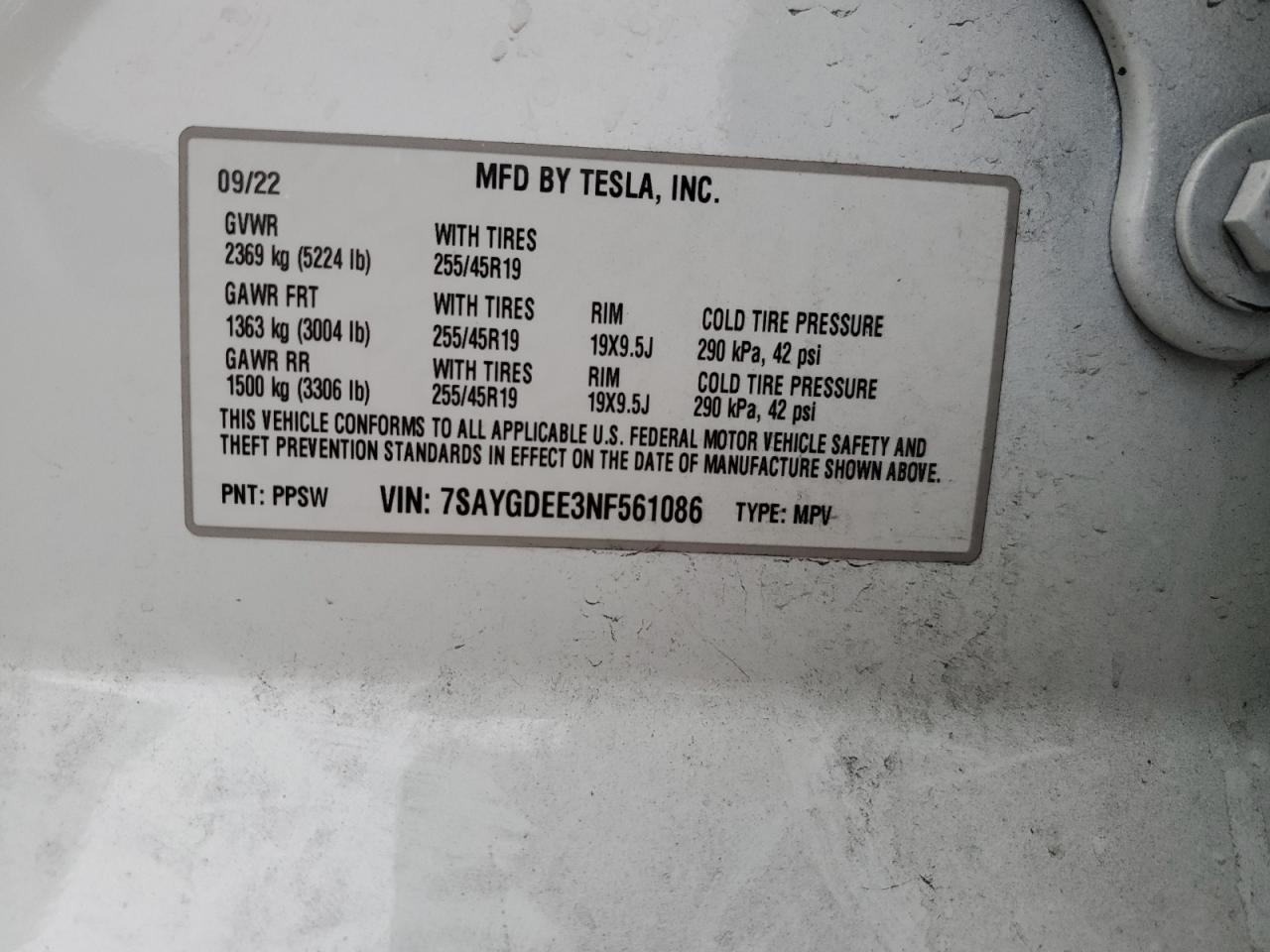 2022 TESLA MODEL Y  VIN:7SAYGDEE3NF561086
