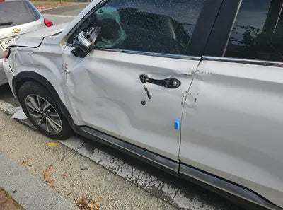 2020 Hyundai Santa FE KMHS281BBLU252014 VIN:KMHS281BBLU252014