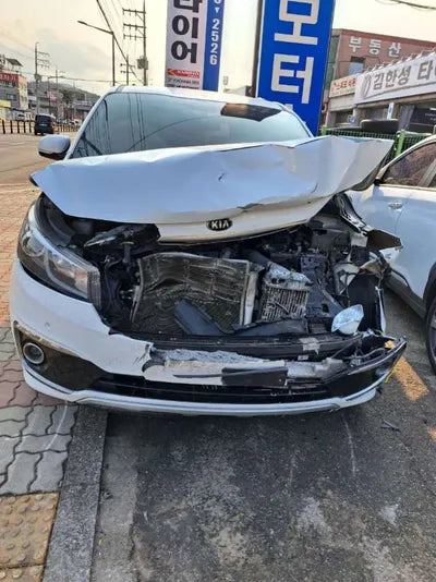 2016 Kia Carnival 835KMKNAMC81ABGS2 VIN:835KMKNAMC81ABGS2