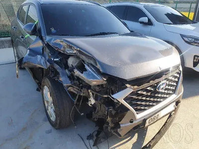 2019 Hyundai Tucson KMHJ3817GKU946256 VIN:KMHJ3817GKU946256