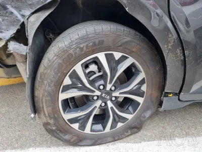 2021 Kia Carnival KNANB81BBMS113372 VIN:KNANB81BBMS113372