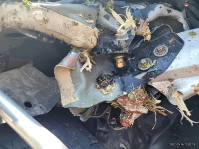 2021 Mercedes-Benz E 300 W1KZF5EB9MA959660 VIN:W1KZF5EB9MA959660