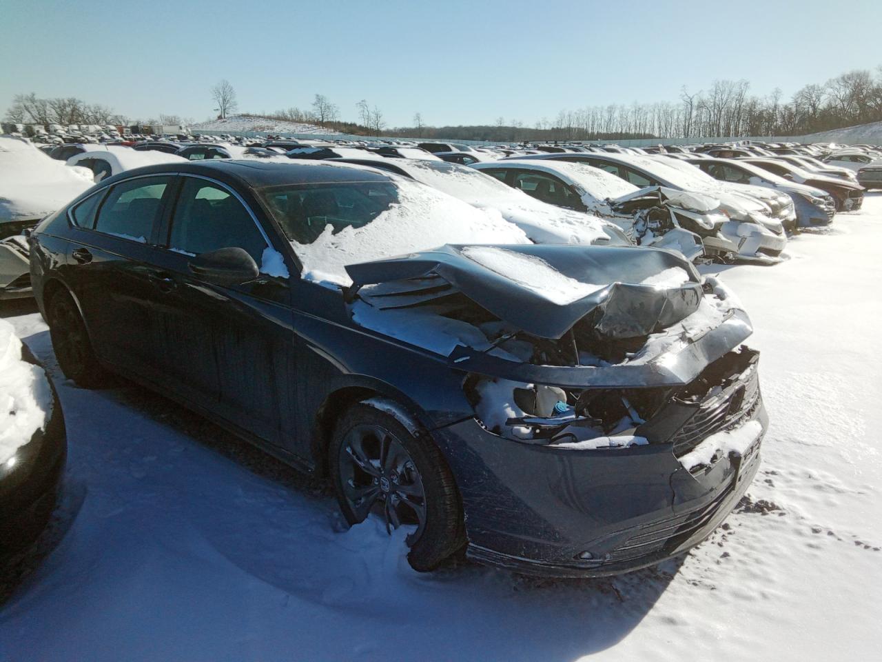 2024 HONDA ACCORD EX VIN:1HGCY1F3XRA067601