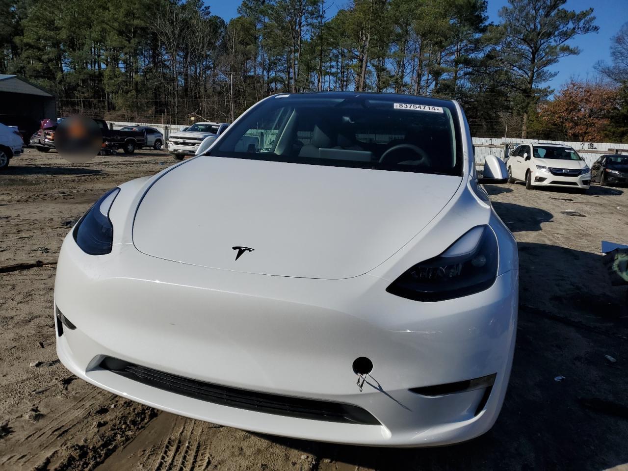 2024 TESLA MODEL Y  VIN:7SAYGAEE0RF160342