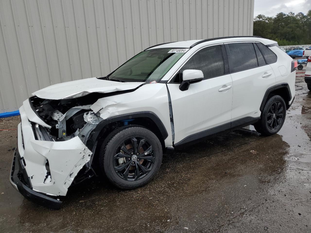 2023 TOYOTA RAV4 SE VIN:JTM16RFV0PJ031974