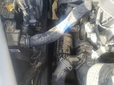 2021 Genesis G70 KMTMA81BBMU020373 VIN:KMTMA81BBMU020373