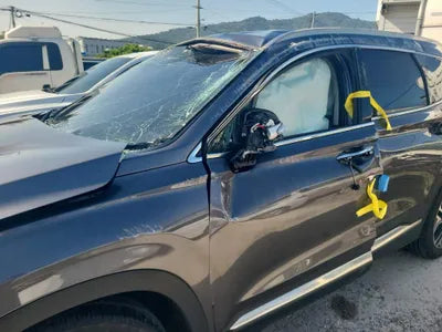 2018 Hyundai Santa FE KMHS381BBKU030465 VIN:KMHS381BBKU030465