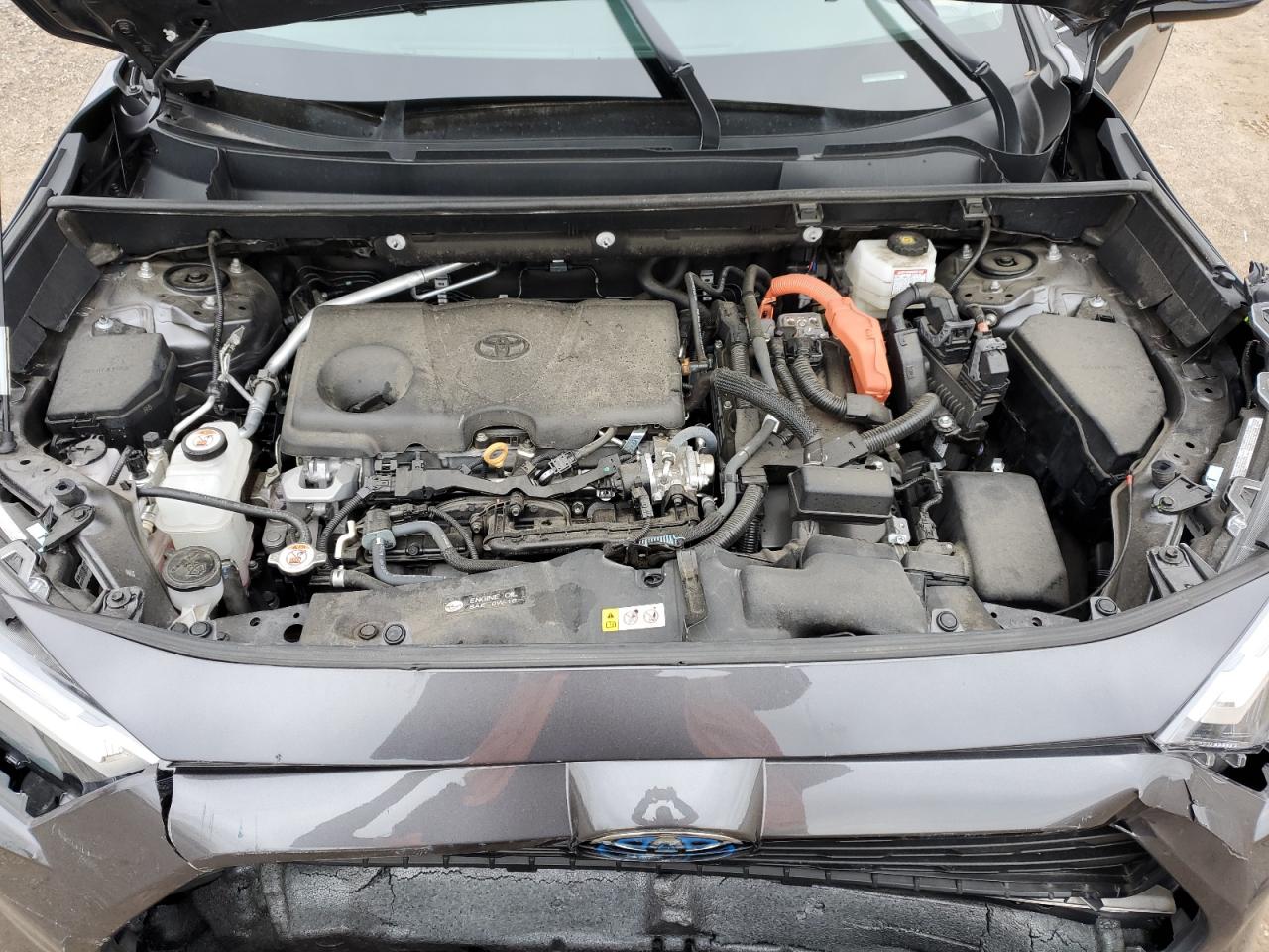 2024 TOYOTA RAV4 XLE VIN:2T3RWRFV2RW205941