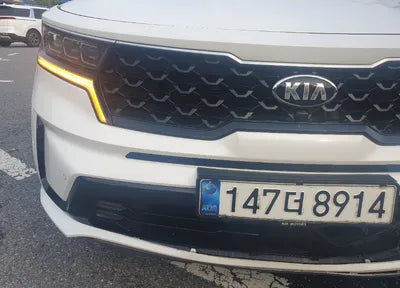 2021 Kia Sorento KNARF81BHMA034257 VIN:KNARF81BHMA034257