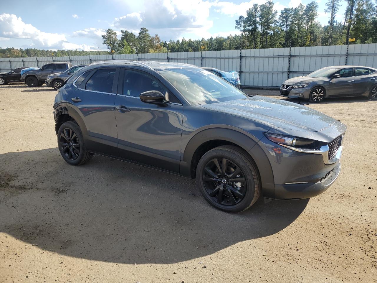 2024 MAZDA CX-30 PREFERRED VIN:3MVDMBCM1RM683870