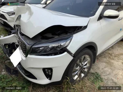 2019 Kia Sorento KNAPG81ABLA555610 VIN:KNAPG81ABLA555610