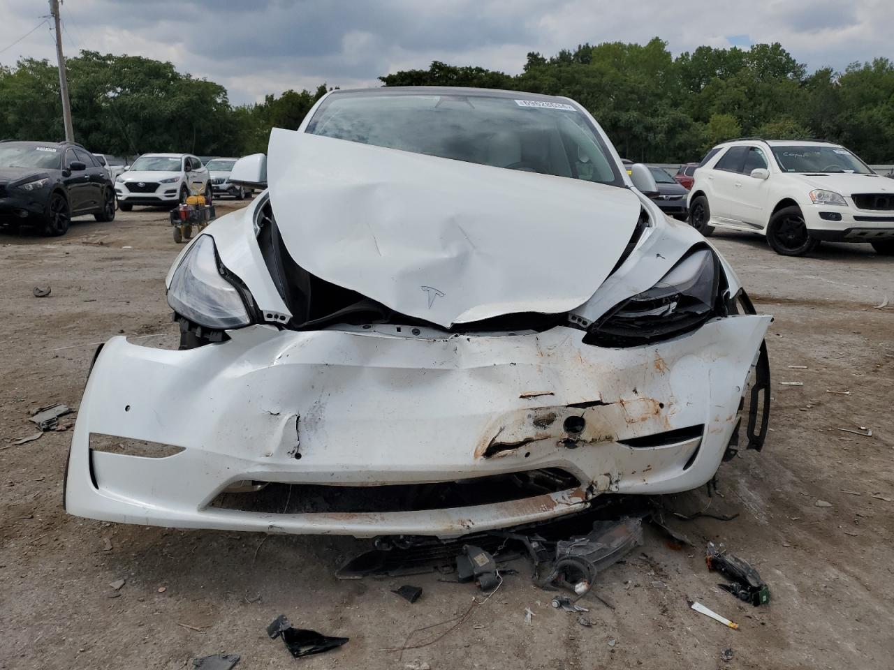 2022 TESLA MODEL Y  VIN:7SAYGDEF8NF373883