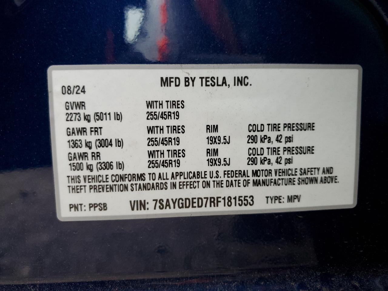 2024 TESLA MODEL Y  VIN:7SAYGDED7RF181553
