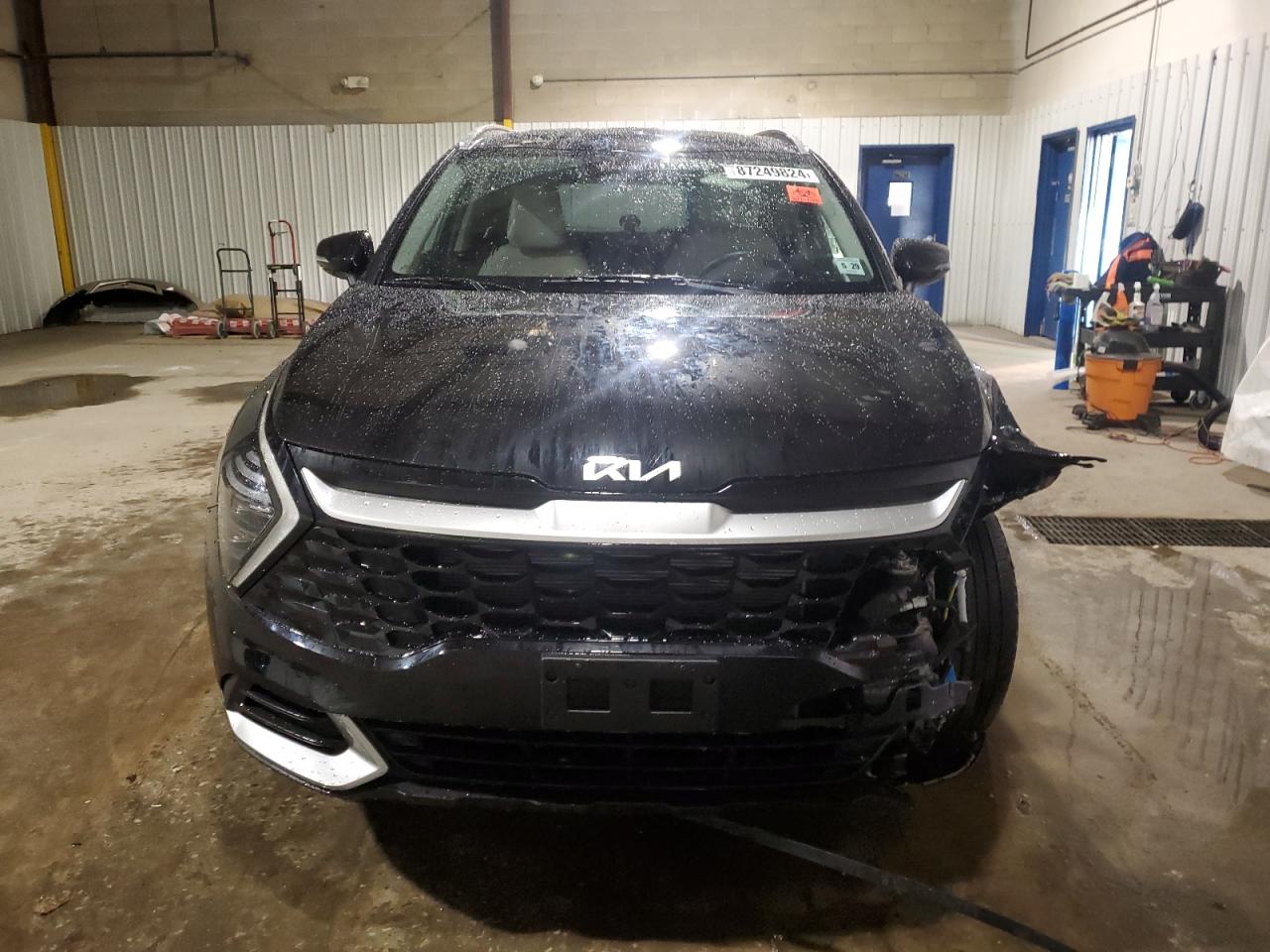 2024 KIA SPORTAGE EX VIN:5XYK3CDF6RG211324