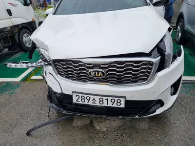 2020 Kia Sorento 595KMKNAPS81BDLA6 VIN:595KMKNAPS81BDLA6