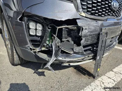 2019 Kia Sorento KNAPS81ABKA492073 VIN:KNAPS81ABKA492073