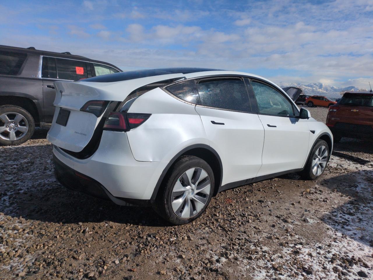 2023 TESLA MODEL Y  VIN:7SAYGDEE9PA129845