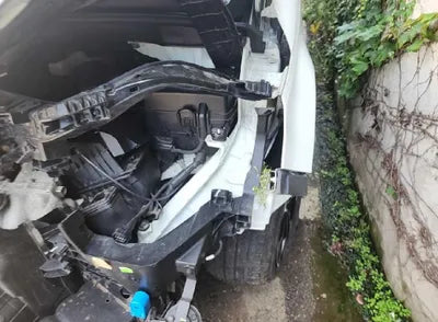 2021 Kia Carnival KNANE81BBMS067853 VIN:KNANE81BBMS067853