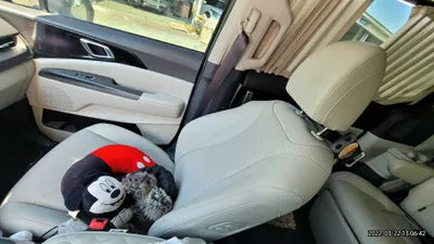 2021 Kia Carnival 180KNANE813BMS036 VIN:180KNANE813BMS036