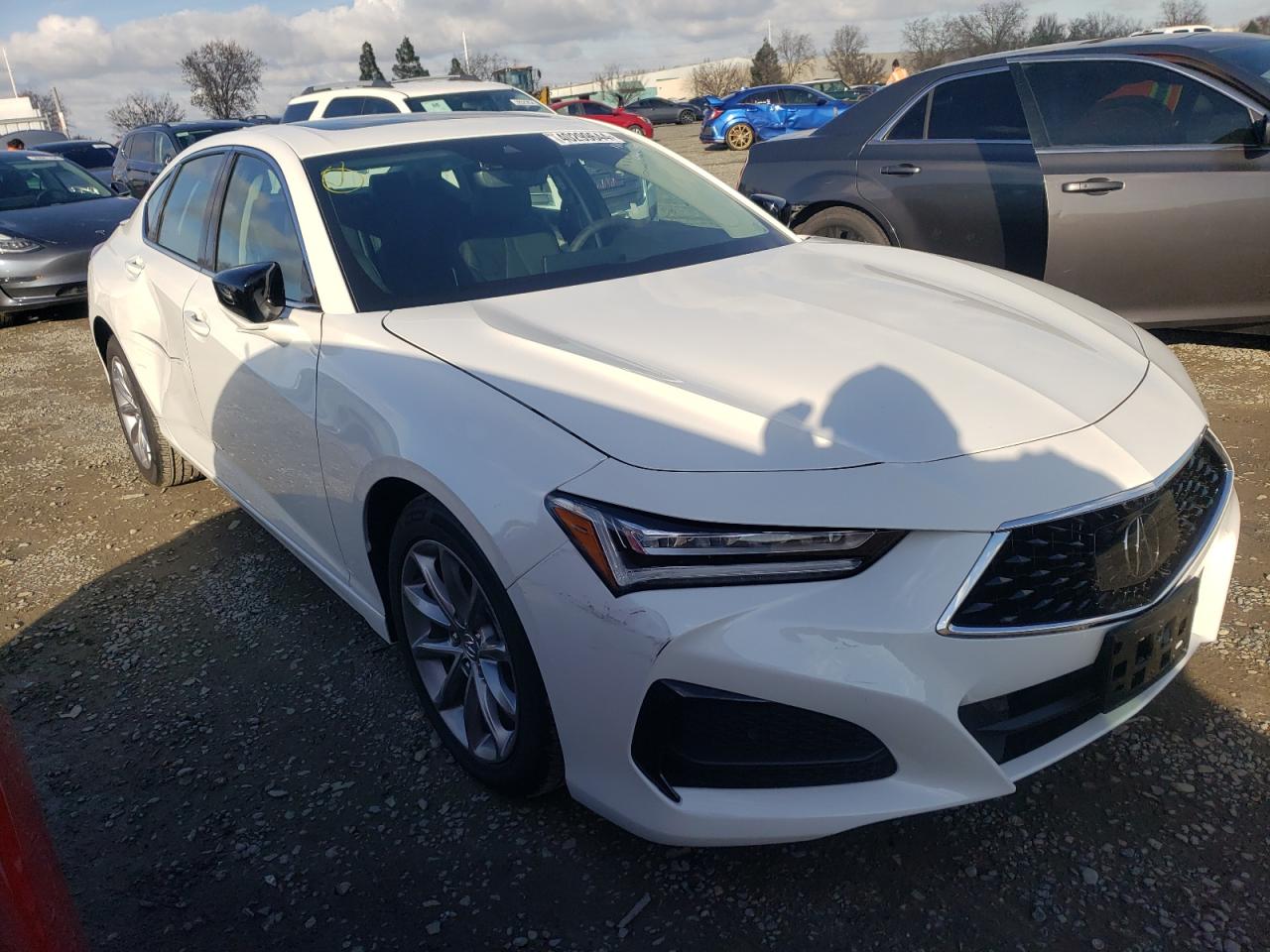 2023 ACURA TLX  VIN:19UUB5F31PA007362