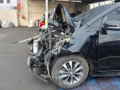 2016 Kia Carnival KNAMB81ABHS248048 VIN:KNAMB81ABHS248048