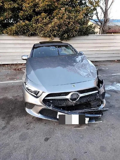 2019 Mercedes-Benz CLS 400 WDD2J2DB6KA010421 VIN:WDD2J2DB6KA010421