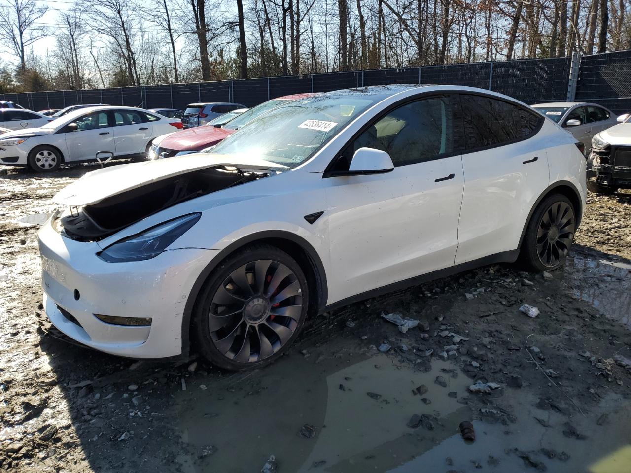 2022 TESLA MODEL Y  VIN:7SAYGDEF6NF379150