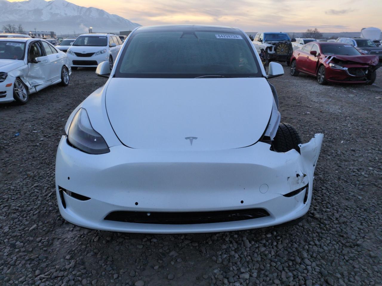 2022 TESLA MODEL Y  VIN:7SAYGDEF3NF460378
