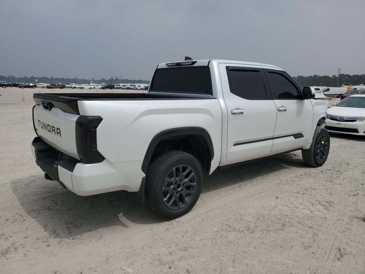 2024 TOYOTA TUNDRA CREWMAX PLATINUM VIN:5TFNA5DBXRX232119