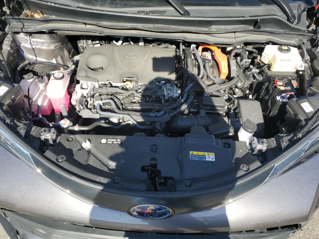 2023 TOYOTA SIENNA XLE VIN:5TDJSKFC6PS085526