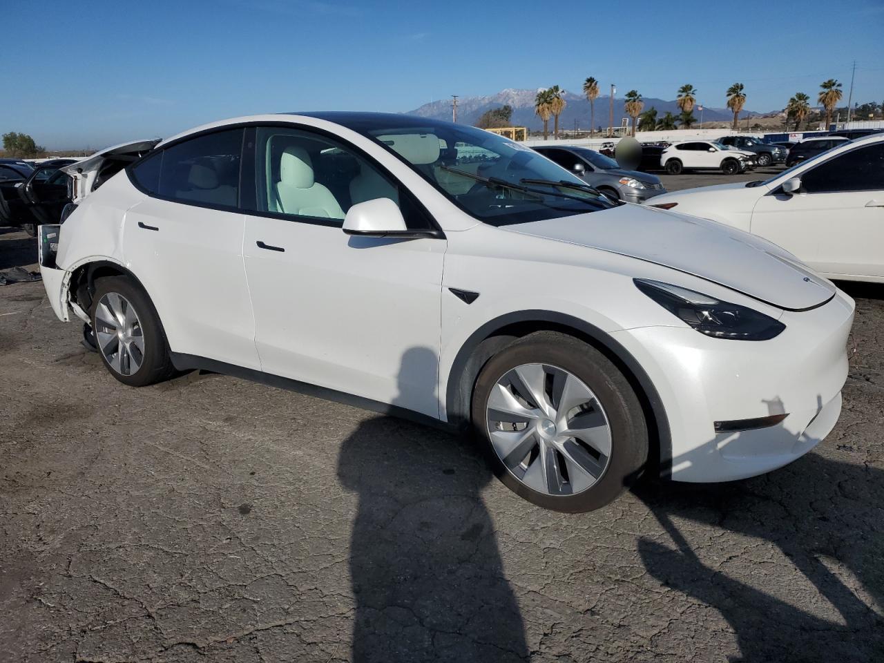 2023 TESLA MODEL Y  VIN:7SAYGDEE1PF638153