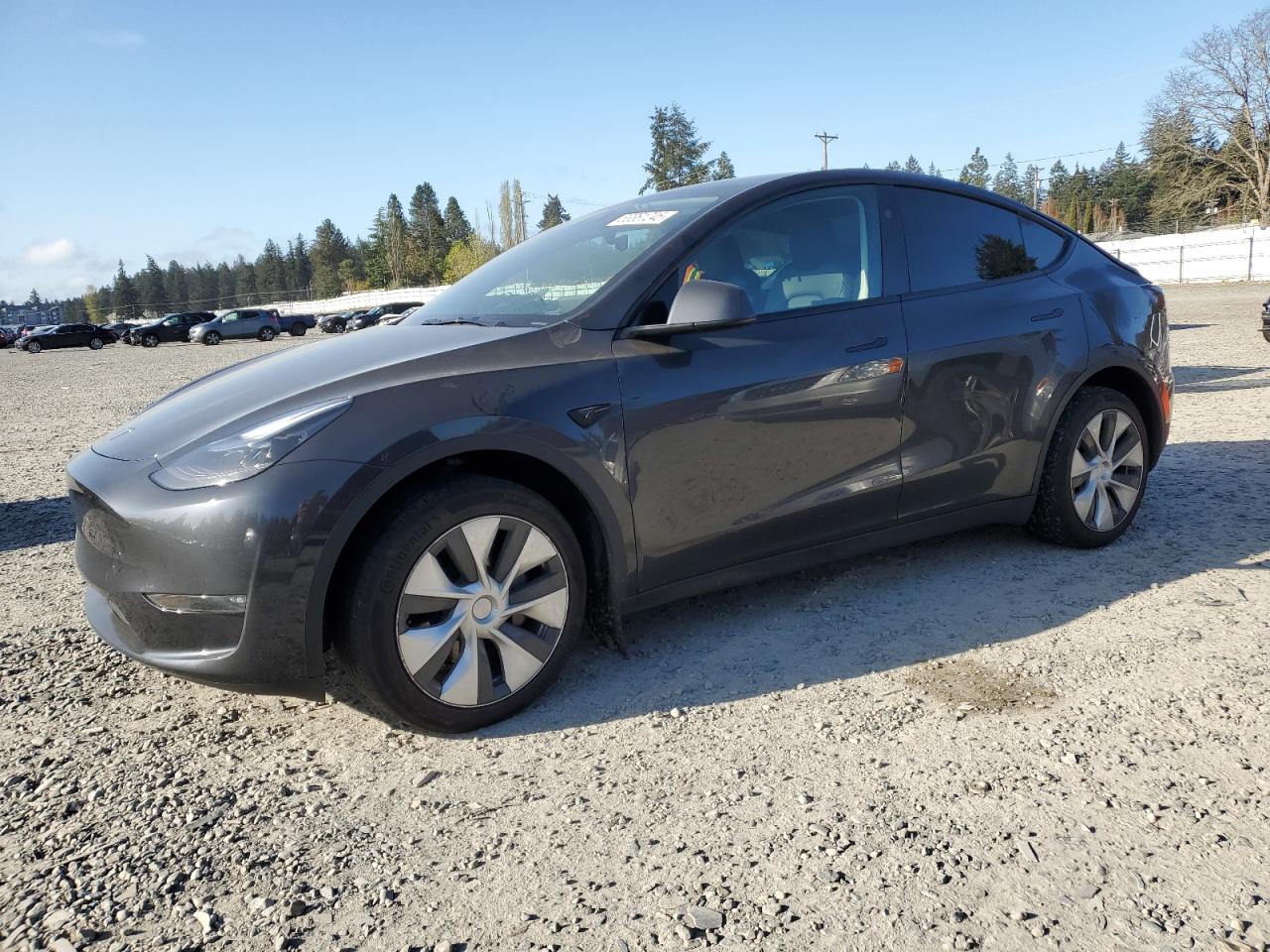 2024 TESLA MODEL Y  VIN:7SAYGDEE3RF008802