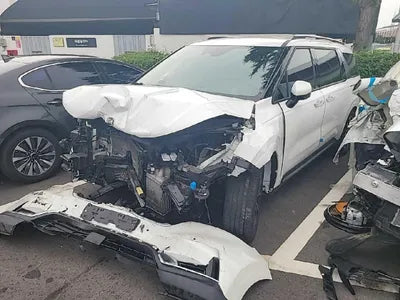 2021 Kia Carnival KNANE813BMS079724 VIN:KNANE813BMS079724