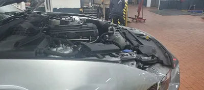 2021 Ford Mustang 1FATP8UH3M5112782 VIN:1FATP8UH3M5112782