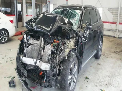 2020 Kia Sorento KNARH81GBMA026218 VIN:KNARH81GBMA026218