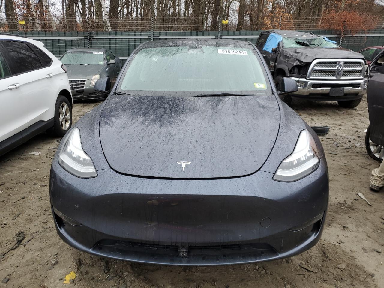 2022 TESLA MODEL Y  VIN:7SAYGDEE7NF429464