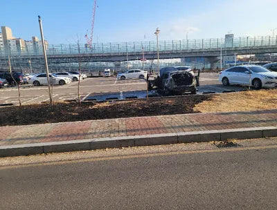 2019 Toyota Prius JTDKARFU0K3099134 VIN:JTDKARFU0K3099134