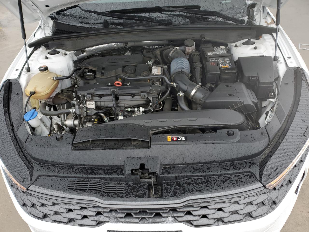 2023 KIA K5 LXS VIN:5XXG14J20PG203160