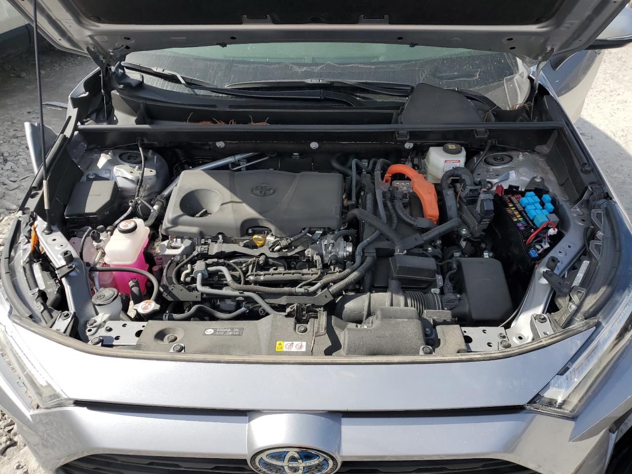 2023 TOYOTA RAV4 LE VIN:JTMMWRFV6PD207342