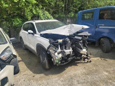 2020 Hyundai Santa FE KMHS381HGMU328111 VIN:KMHS381HGMU328111