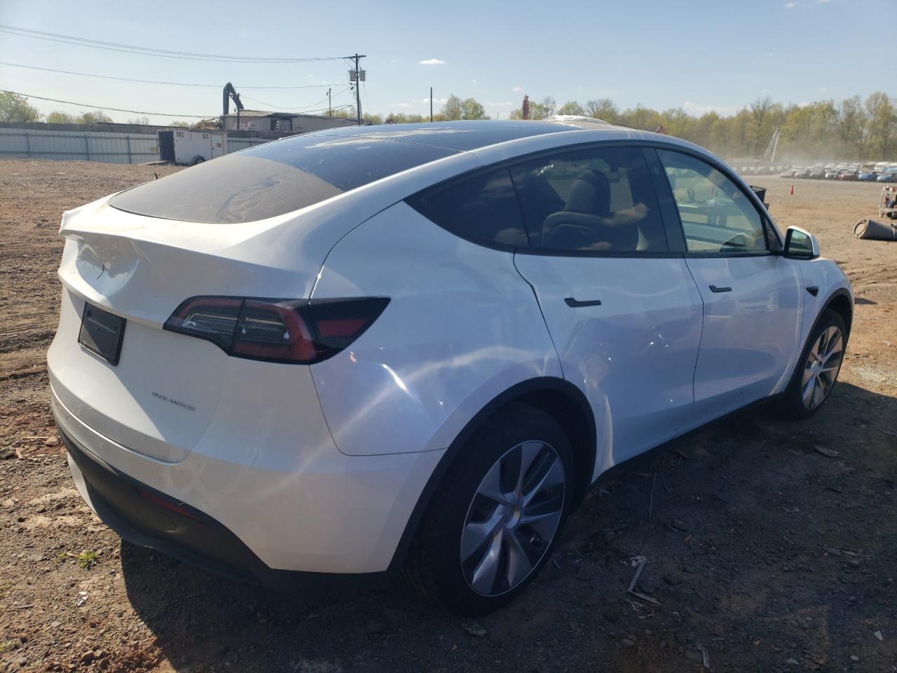 2023 TESLA MODEL Y  VIN:7SAYGDEE5PA064217