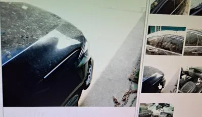 2019 Genesis G80 KMHGL412DLU343066 VIN:KMHGL412DLU343066