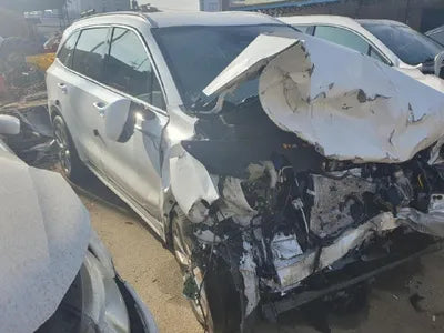 2020 Kia Sorento KNAPH81ABLA602766 VIN:KNAPH81ABLA602766