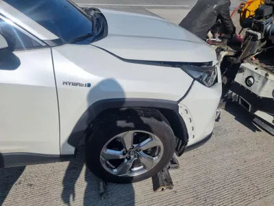 2020 Toyota RAV4 JTMDWRFV7LD545648 VIN:JTMDWRFV7LD545648