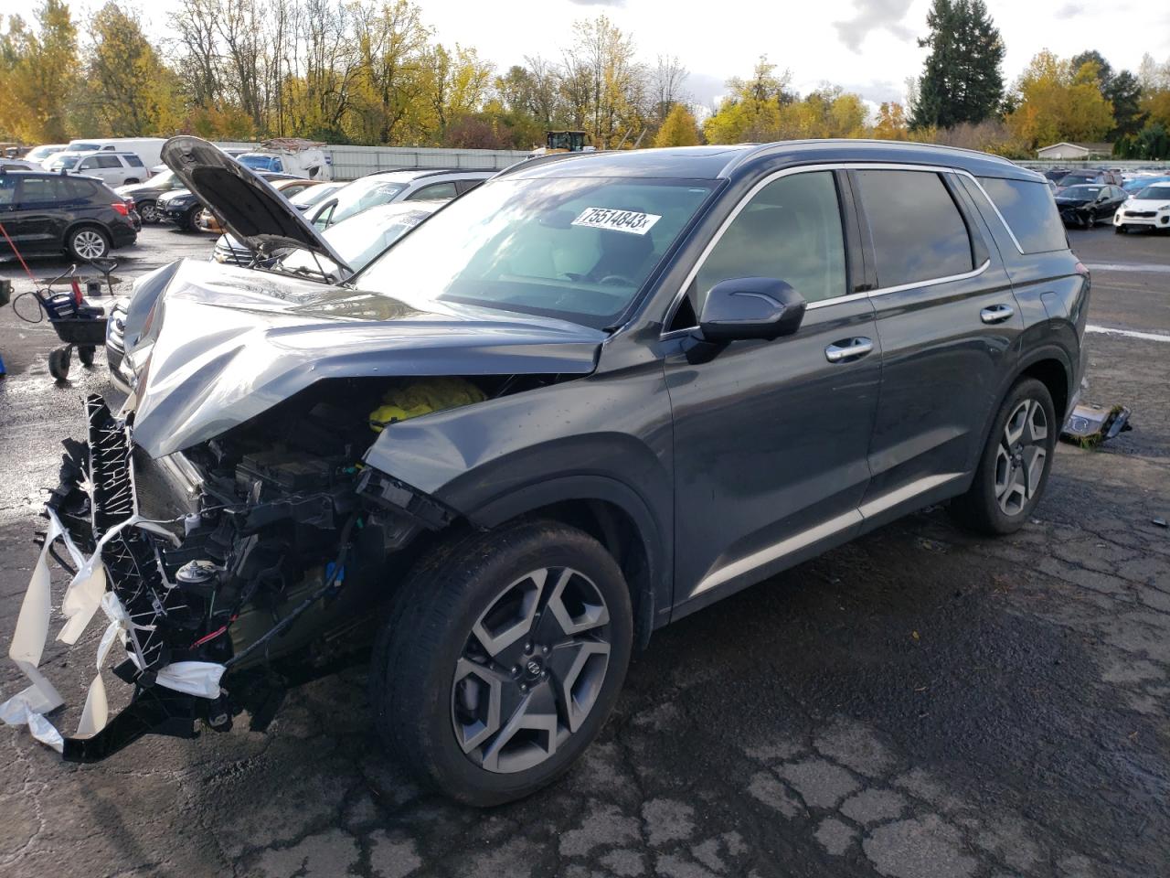 2023 HYUNDAI PALISADE LIMITED VIN:KM8R5DGE5PU576540