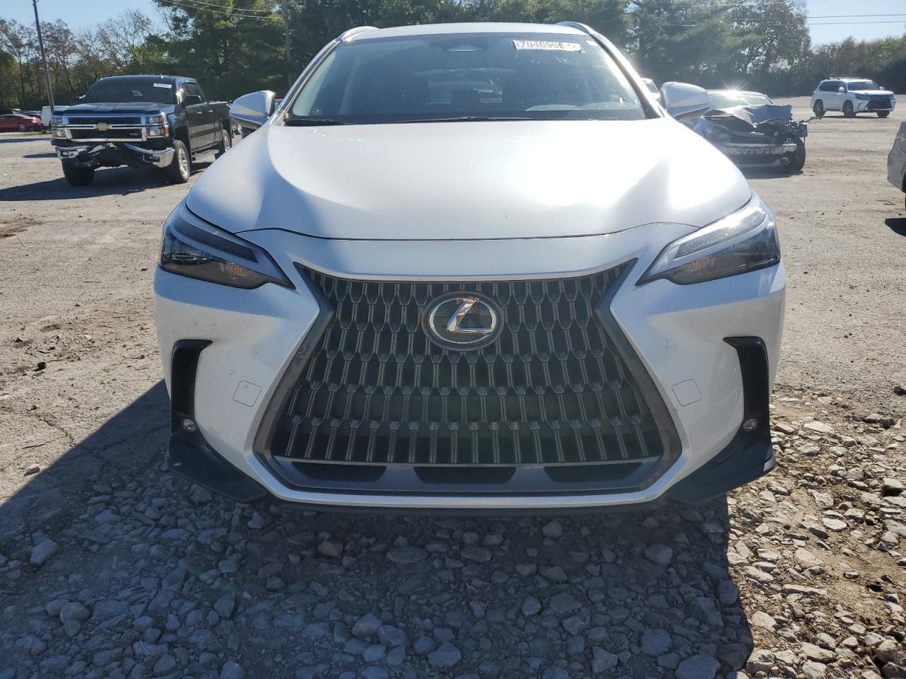 2022 LEXUS NX 250 VIN:JTJADCEZ7N5000392