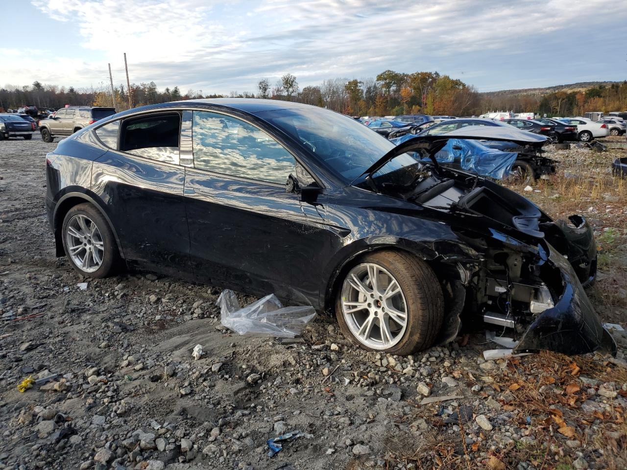 2023 TESLA MODEL Y  VIN:7SAYGDEE9PA100359