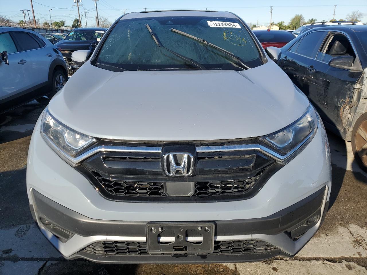 2022 HONDA CR-V EX VIN:7FARW1H59NE018196